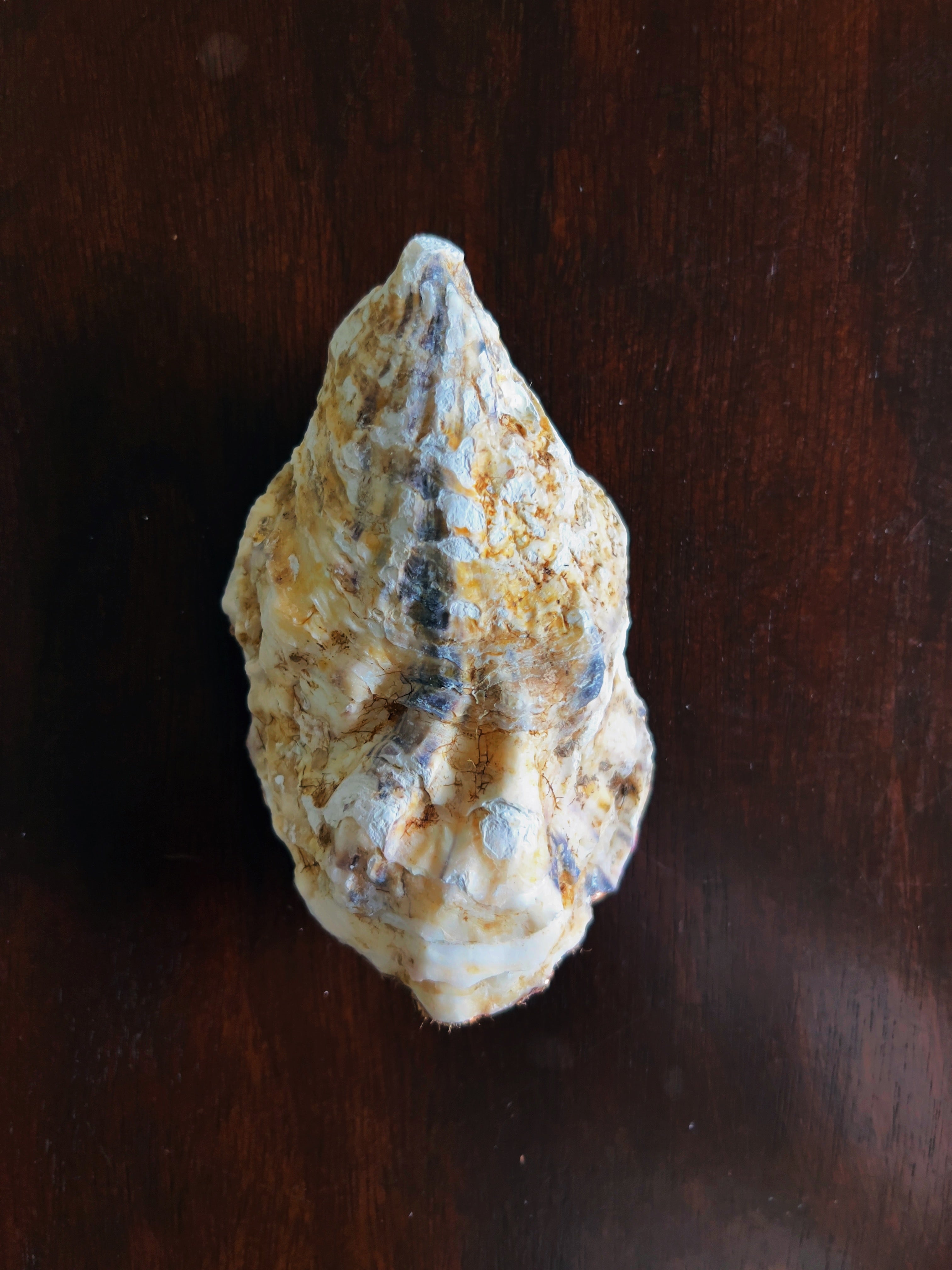 Pretty in Pink (Oyster)