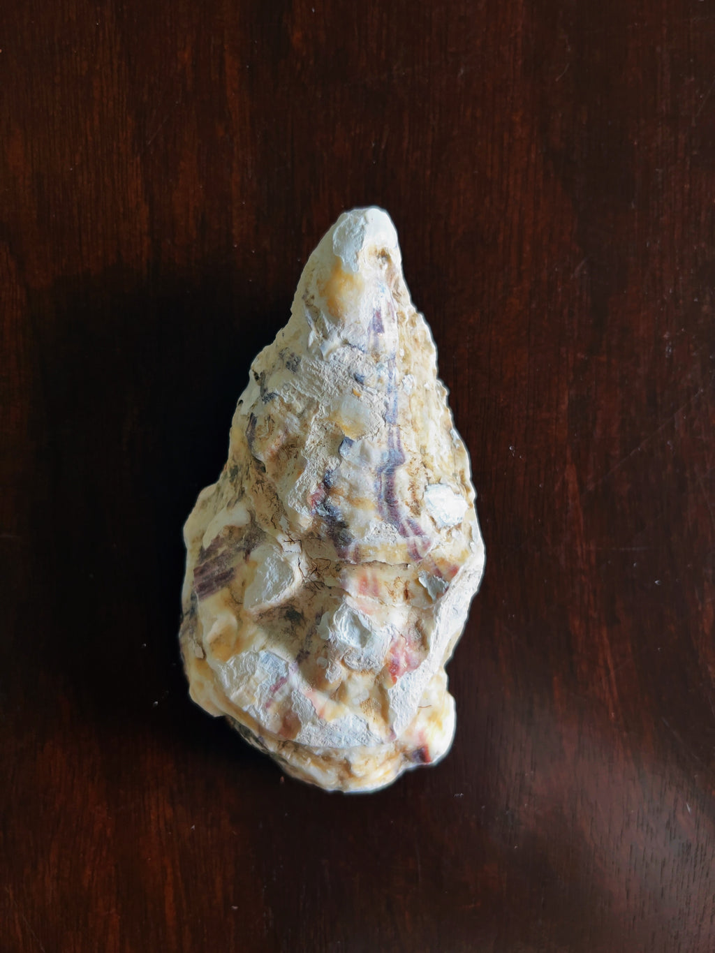 Golden Lily (Oyster)
