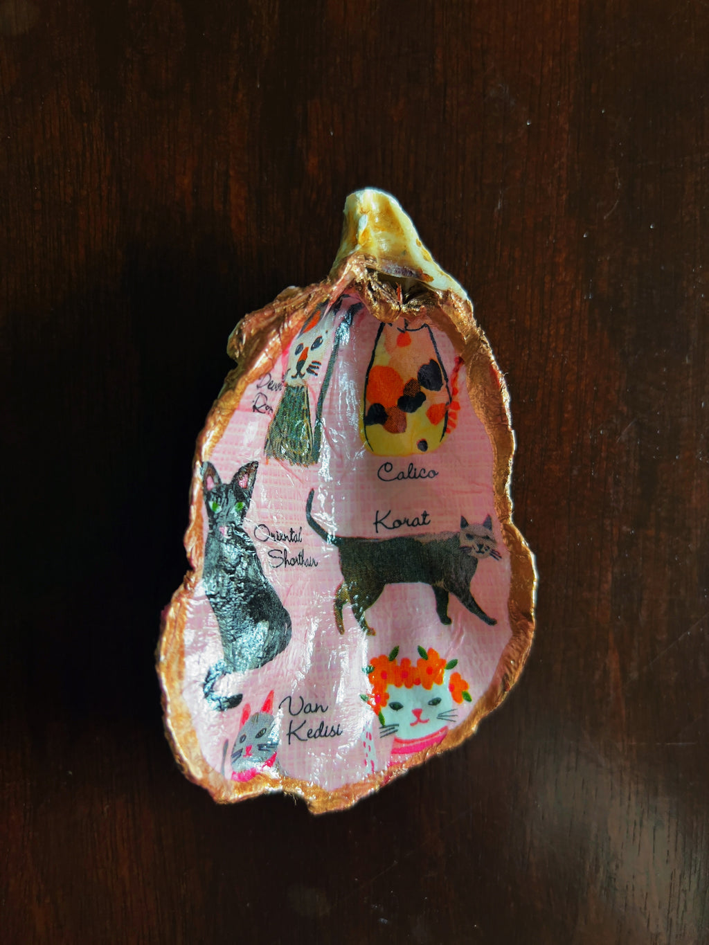 Imogen's Cats (Oyster)