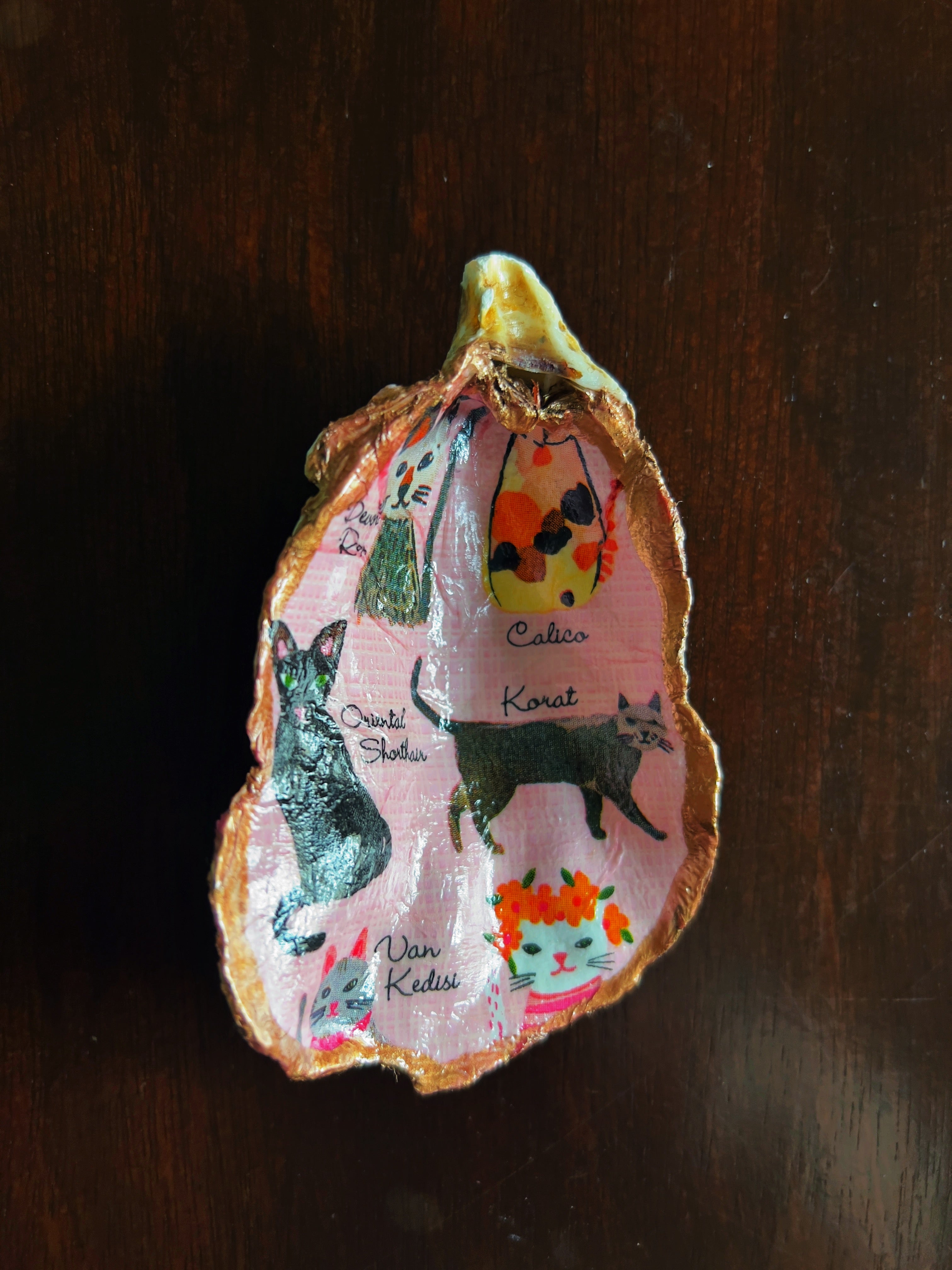 Imogen's Cats (Oyster)