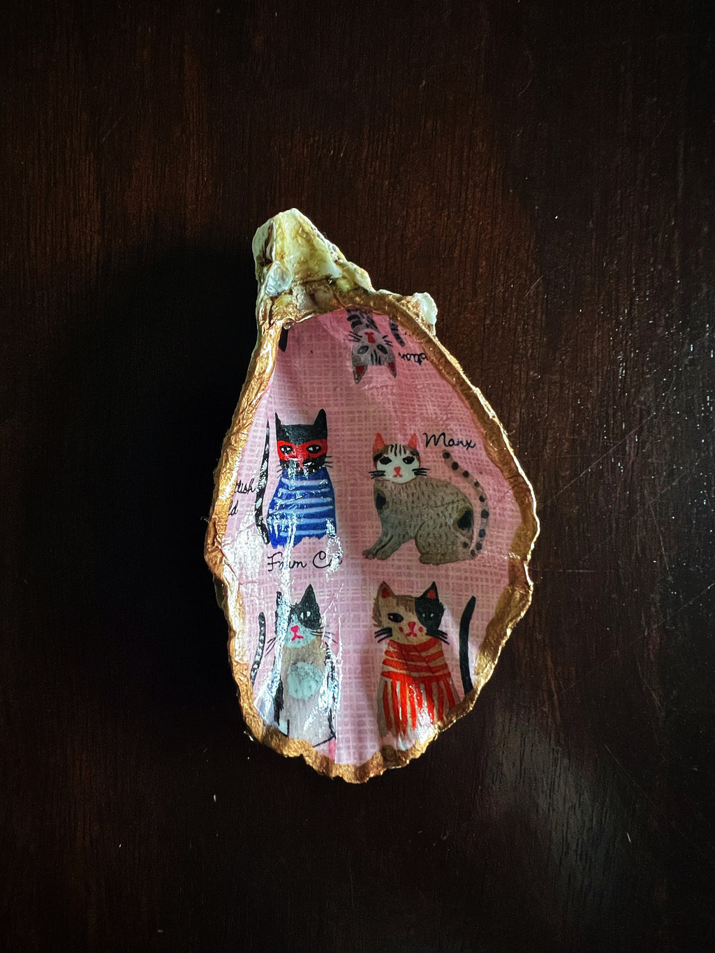 Imogen's Cats (Oyster)