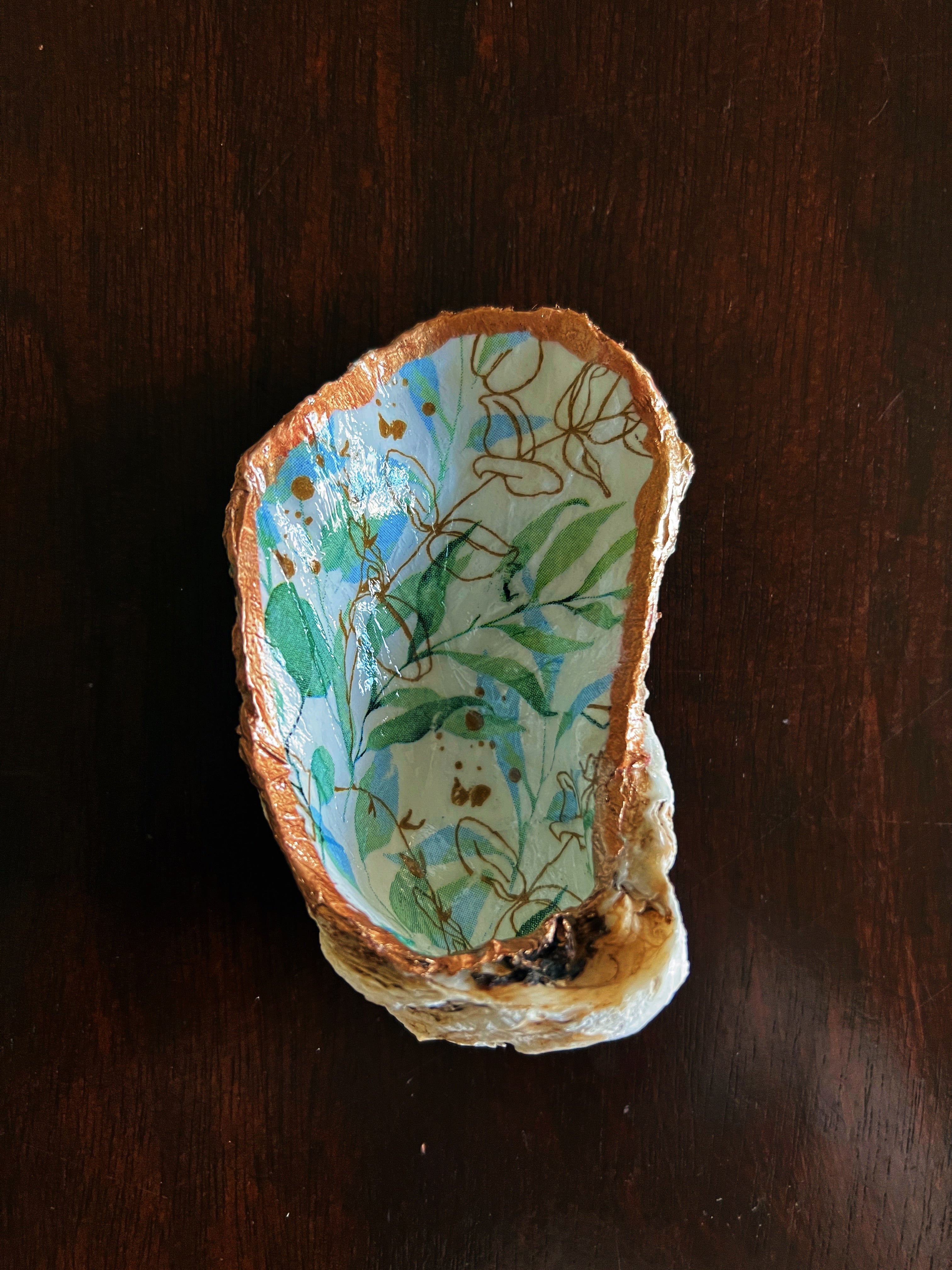 Golden Eucalyptus (Oyster)