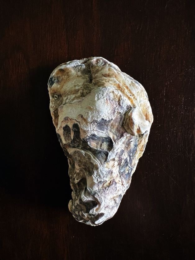 Steel Magnolia (Oyster)