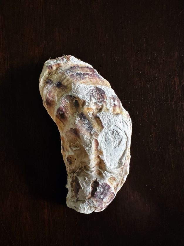 Golden Lily (Oyster)